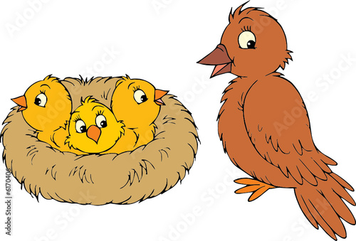 Nest