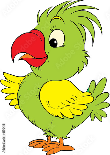 Parrot