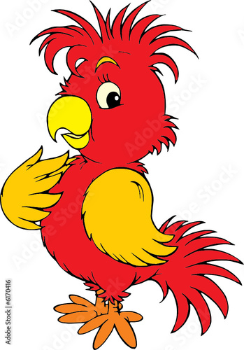 Parrot