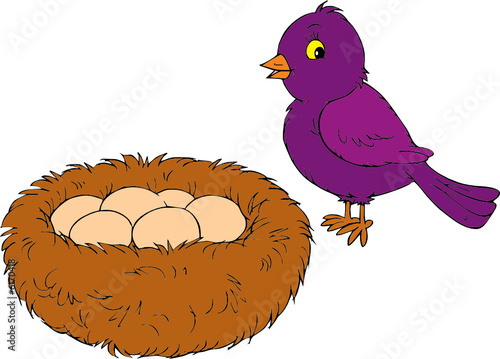 Nest