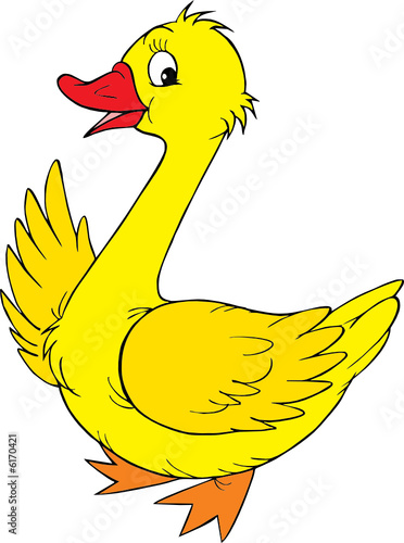 Yellow goose