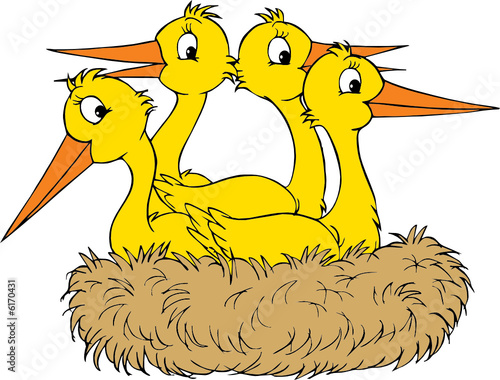 Stork nest 