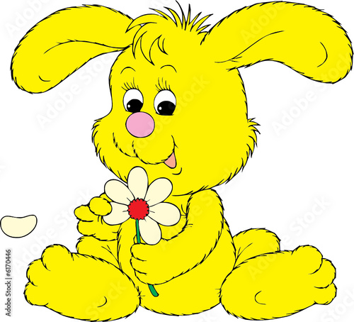 Bunny