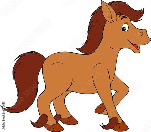 Pony