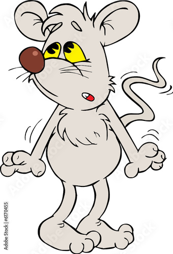 Grey mouse 