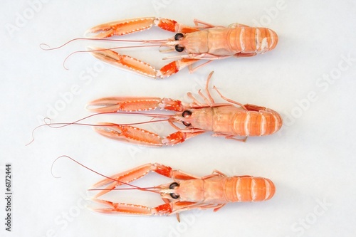 Trois langoustines