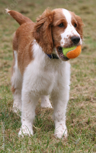 I want to play