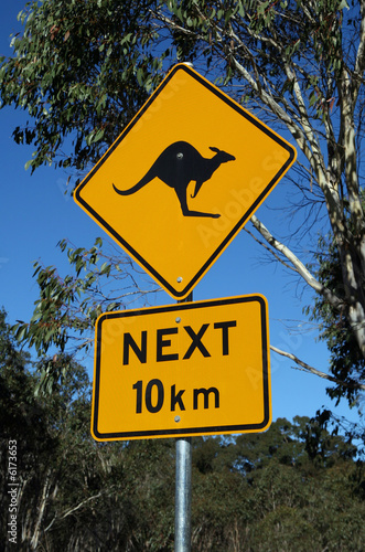 Kangaroos Road sign, Outback Australia