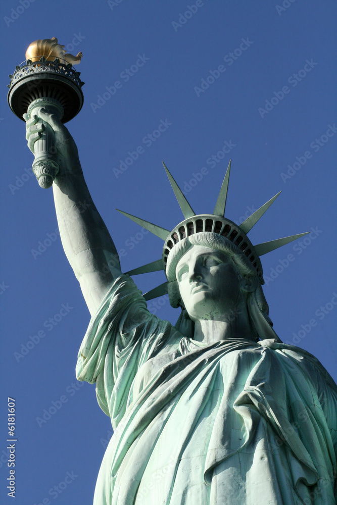 Fototapeta premium Statue of Liberty Top Half Portrait
