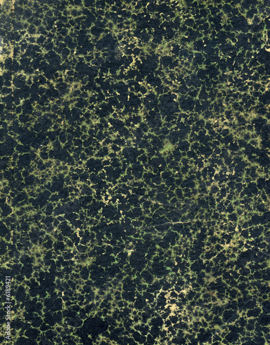 A book cover showing age effects and stain