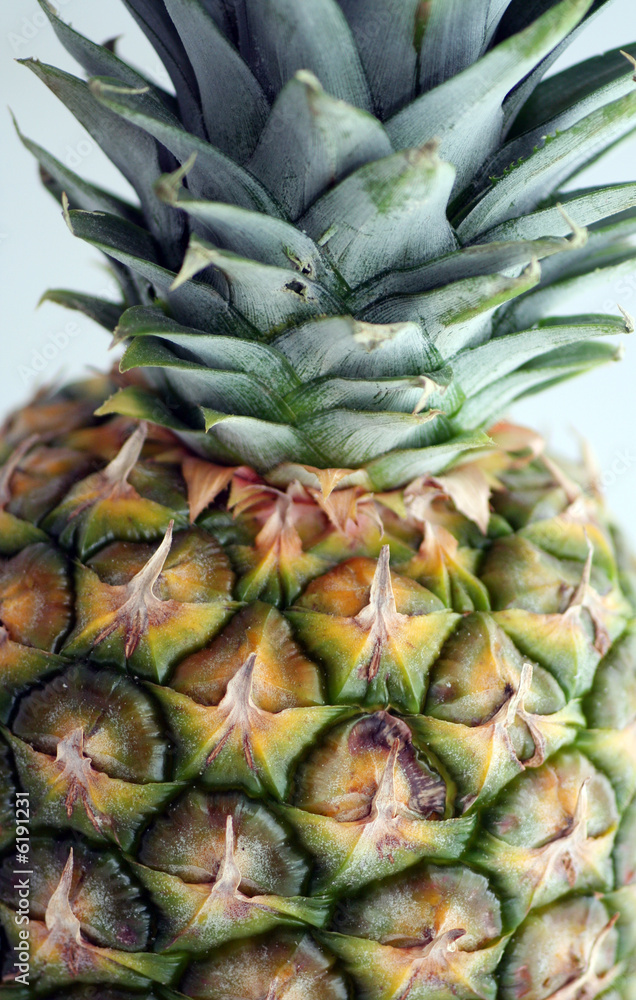 Ananas