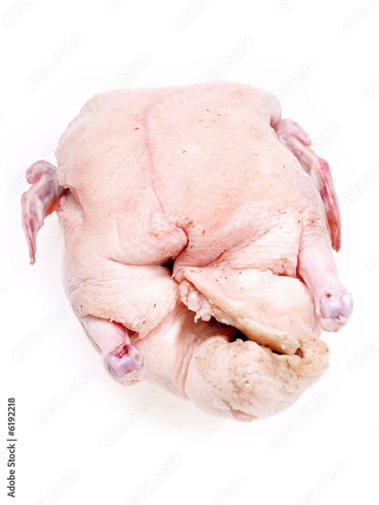 rohe ente rohe ente