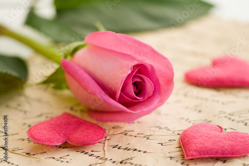 pinkfarbige Rose mit Herzen