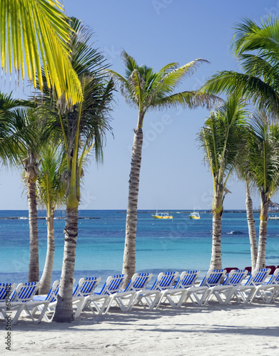 Morning on the beach