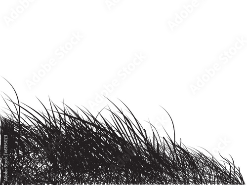 Grass silhouette black, background