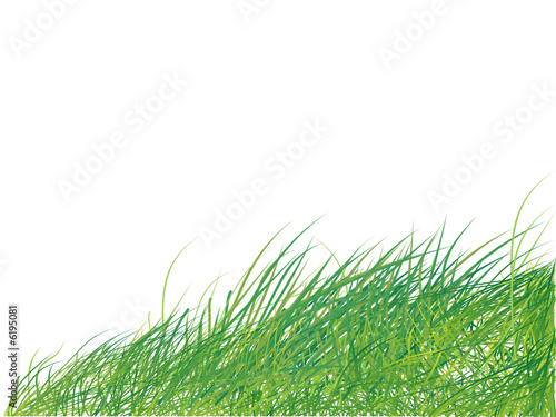 Grass silhouette green, summer background