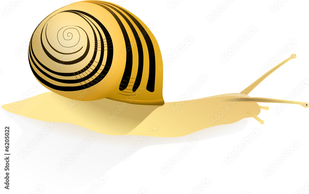 escargot