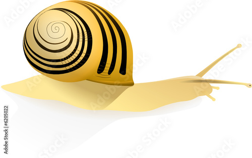 escargot