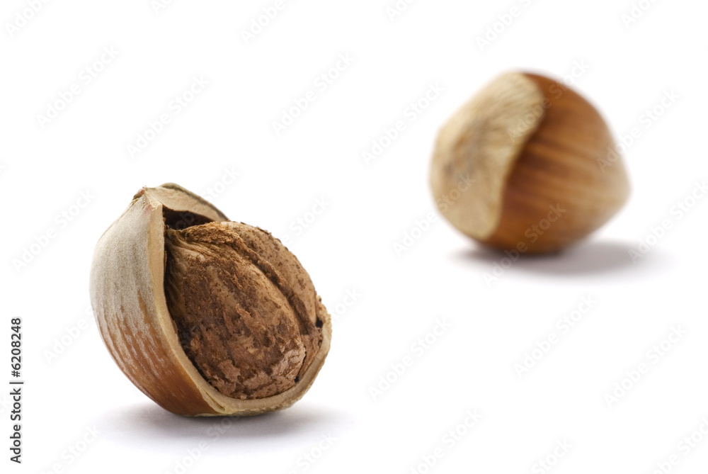 Cracked Hazelnuts isolated on white background Cracked Hazelnuts isolated on white background