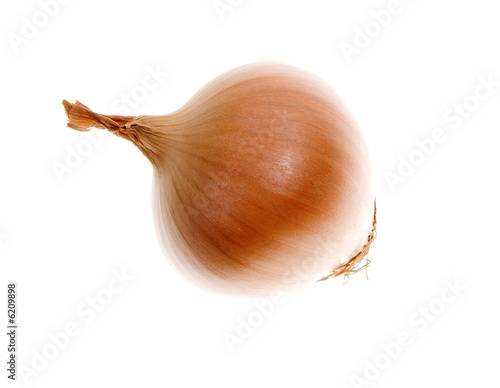 onions isolated on white background.