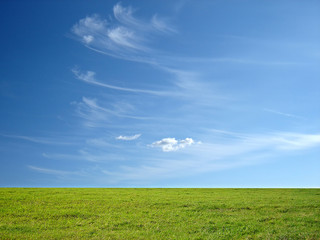 blue sky and green grass for successful advertisement