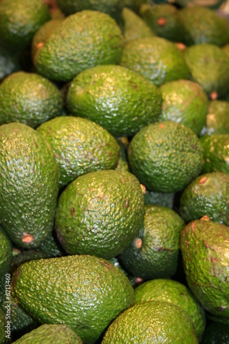 Avocados for sale in Supermarket