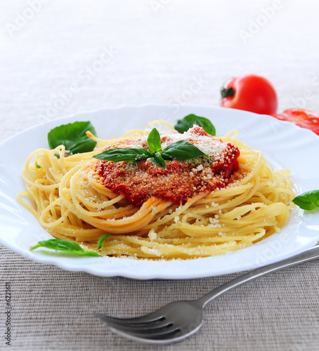 Big plate of pasta with tomato sauce and parmesan