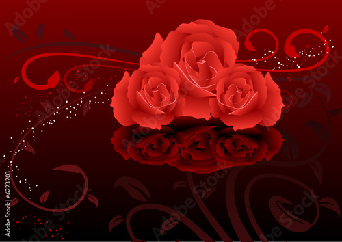 Rose background