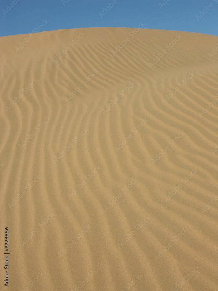 sable sable