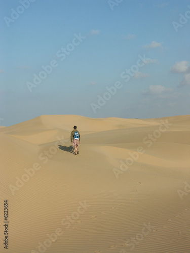 balade dans les dunes