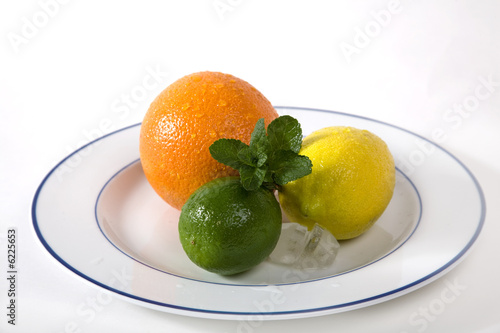 lime, orange, lemon, mint  on the plate