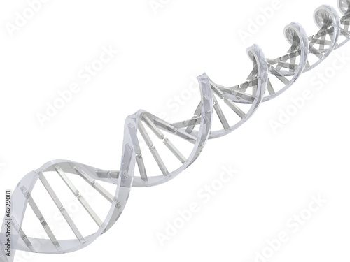 dna