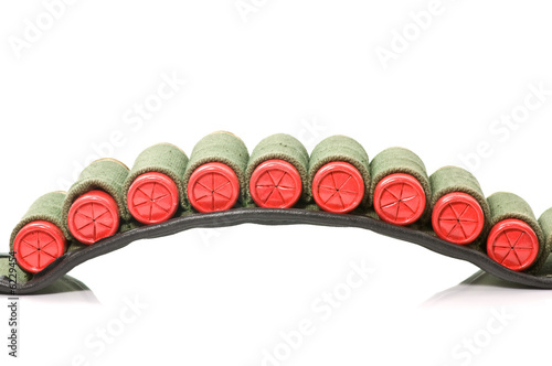 Cartridge belt