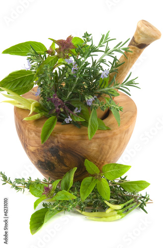 Healing herbs and edible flowers