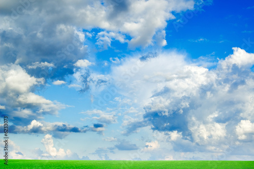 White fluffy clouds and a green spring field..