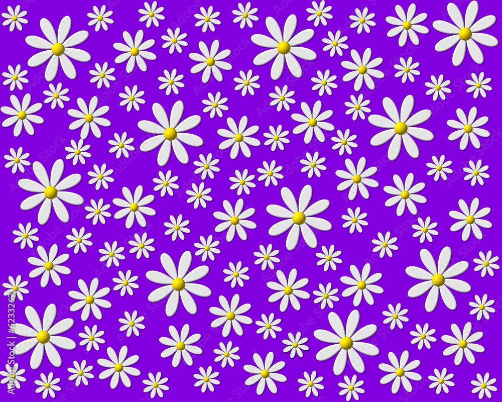 margeriten hintergrund violett margeriten hintergrund violett