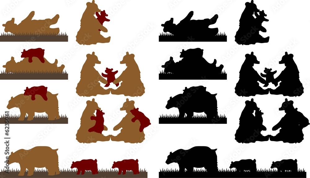 Obraz premium bear family