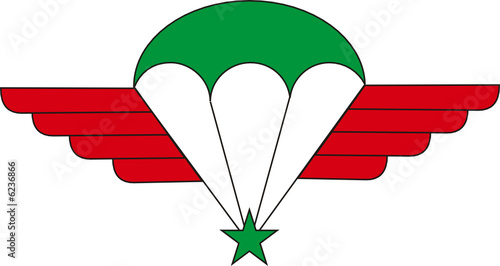Logo parachutiste