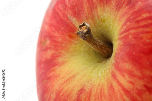 Apple. macro