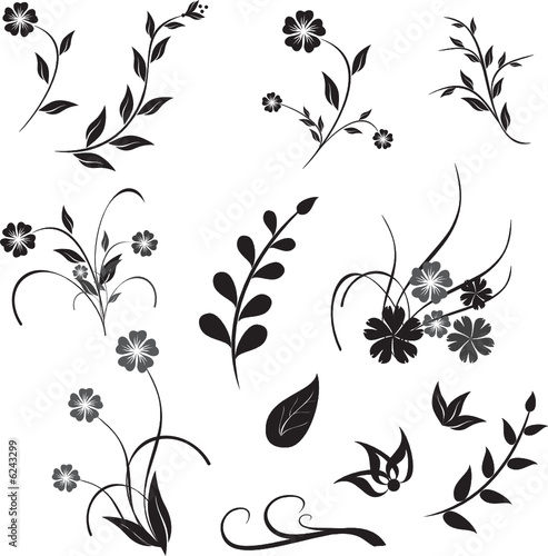 Floral design elements for decoration