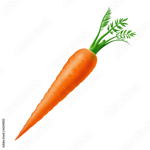 carrotorange photo