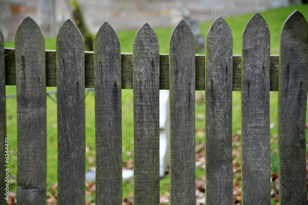 A wooden fence with property behind.