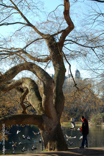 buttes chaumont