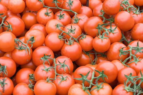 Fresh organic tomatoes for sale at a market for farm products