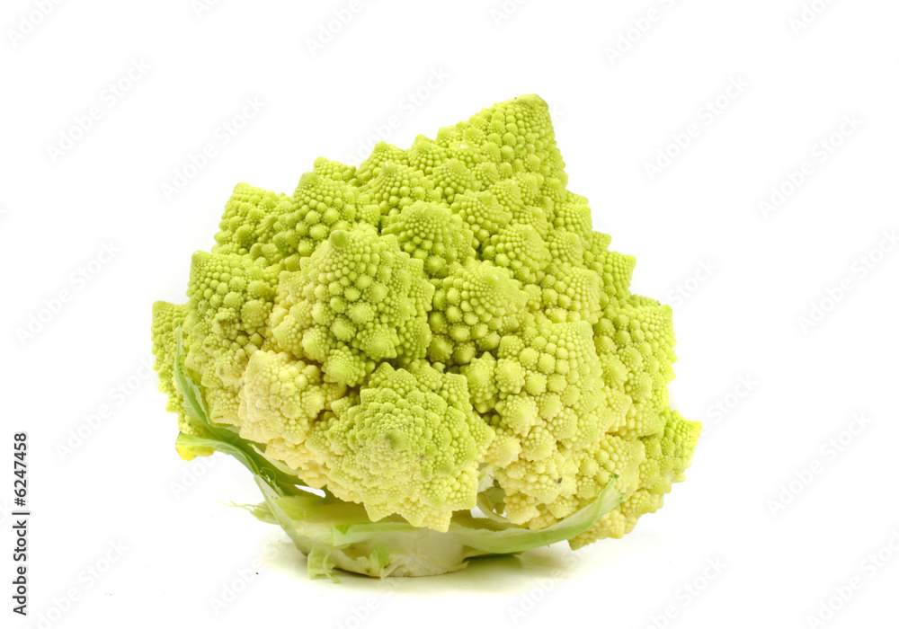 green romanesco cauliflower i background green romanesco cauliflower i background