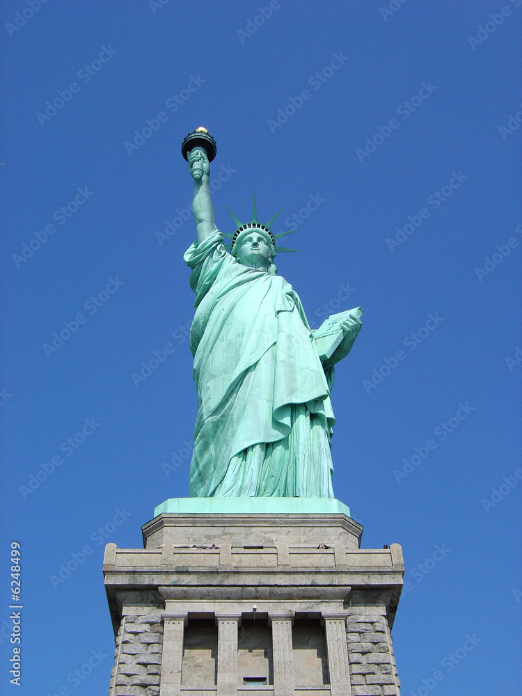 Fototapeta premium statue of liberty