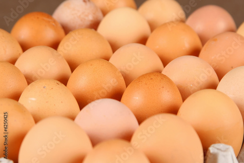 24 eggs in tray over brown background