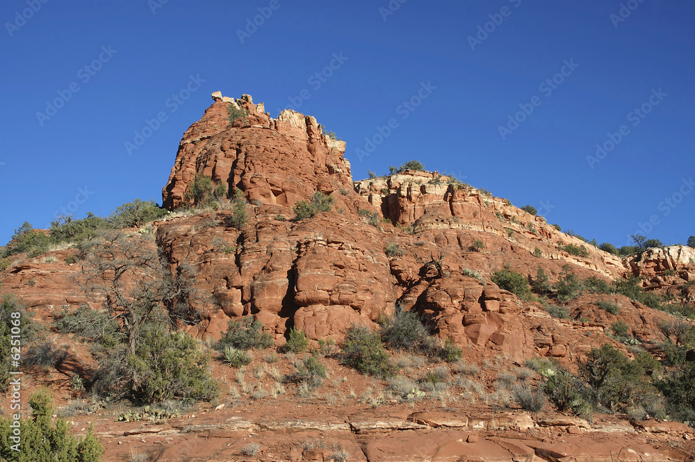 Fototapeta premium The bright red cliffs of Sedona, Arizona.