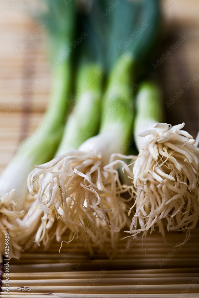 A closeup shot of spring onions or scalllions on bamboo mat