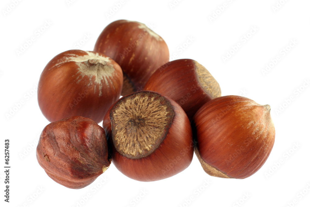 Hazel nut group isolated on white background Hazel nut group isolated on white background